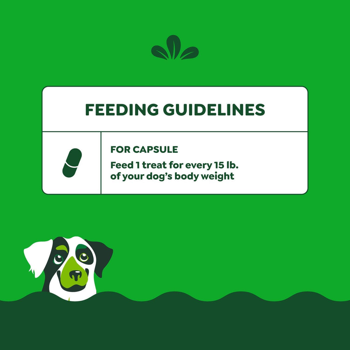 Greenies Pill Pockets Large Size Dog Treats. Hickory Smoke. 7.9 oz. 6-Pack | Vet-recommended. Capsule size. masks medicine odor. low calorie. stress- & mess-free. 7.9 oz pouches