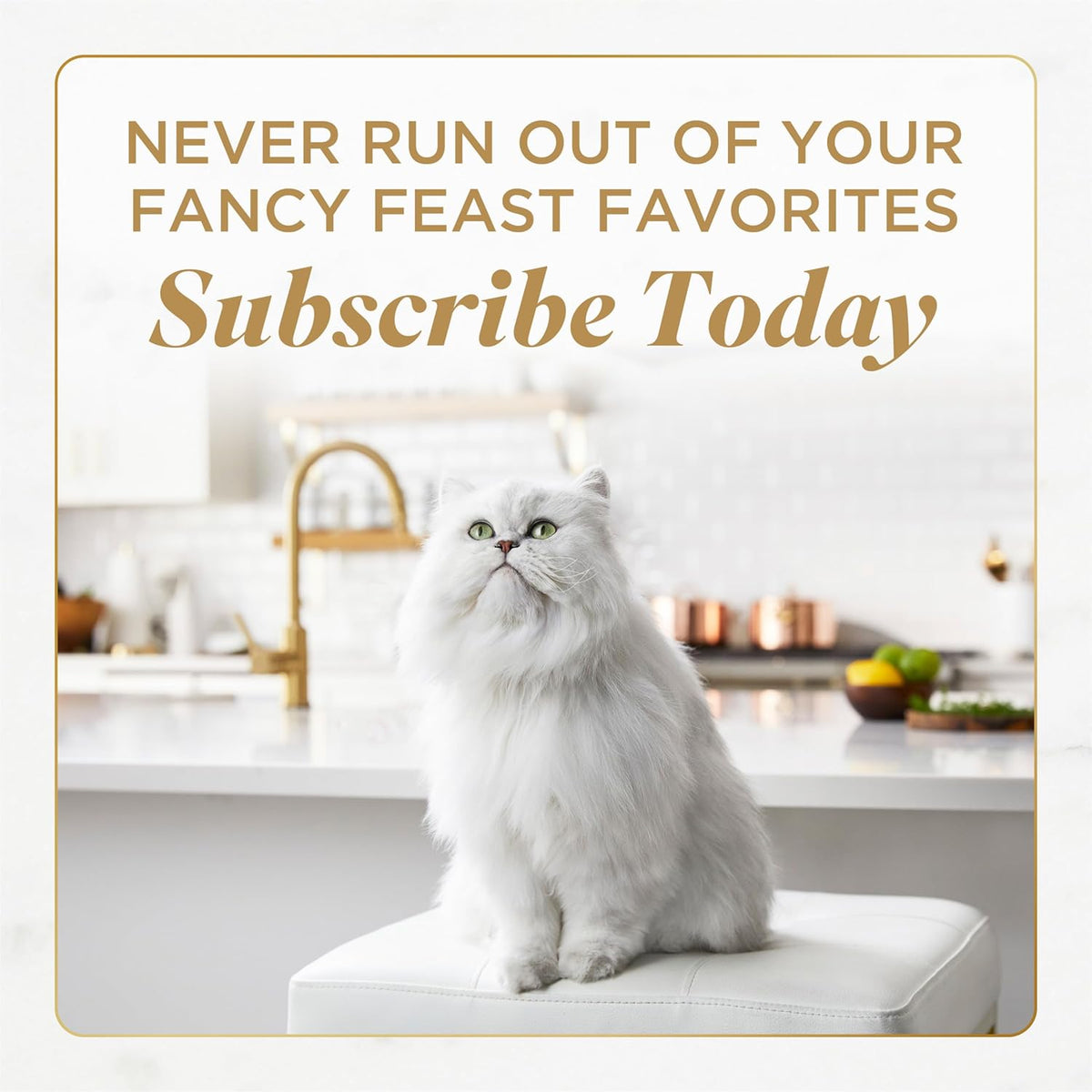 Fancy Feast Purina Gourmet Wet Cat Food Variety Pack.Petites Gravy Collection.Break-Apart tubs.48 Servings - 2.8 oz. Tubs.(Pack of 24)