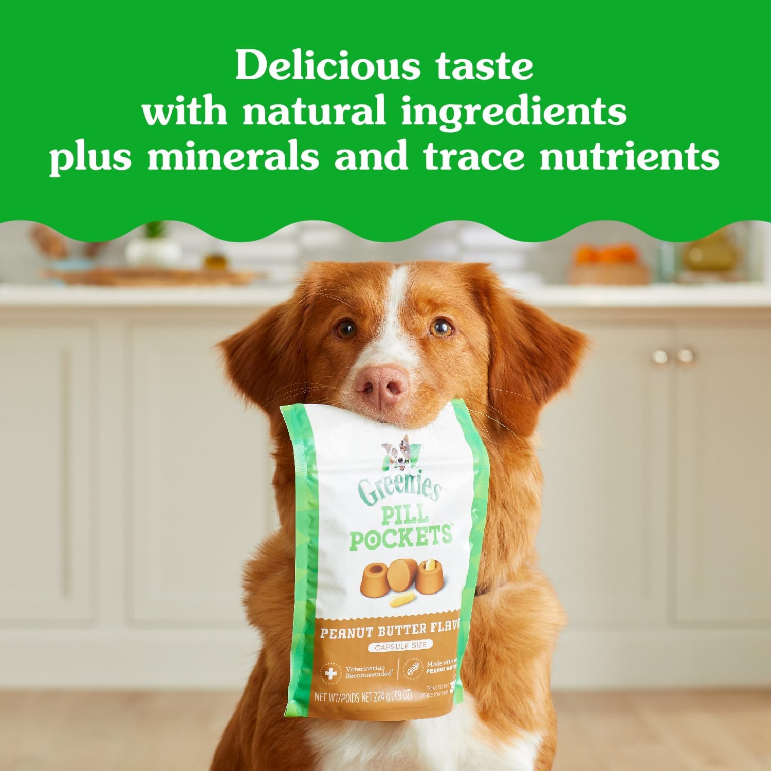 Greenies Pill Pockets Large Size Dog Treats. Peanut Butter. 7.9 oz. 6-Pack | Vet-recommended. capsule size. masks medicine odor. low calorie. stress- & mess-free. 7.9 oz pouches