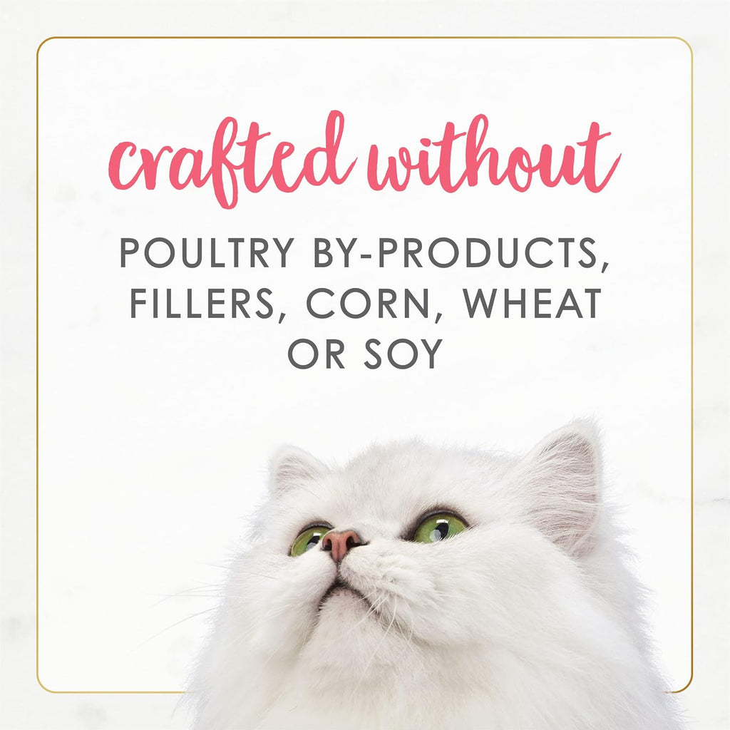 Purina Fancy Feast Grain Free Pate Wet Kitten Food (12 Pack) 3 oz Cans | Delicate mousse pate made with salmon topped with savory gravy for a taste and texture kittens love