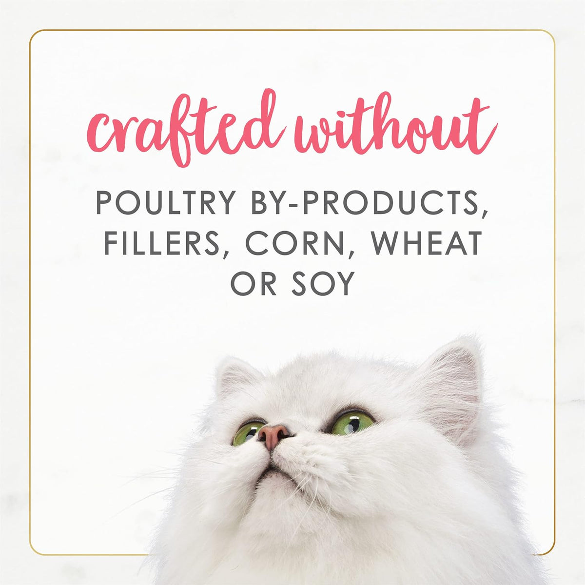 Purina Fancy Feast Grain Free Pate Wet Kitten Food (12 Pack) 3 oz Cans | Delicate mousse pate made with salmon topped with savory gravy for a taste and texture kittens love