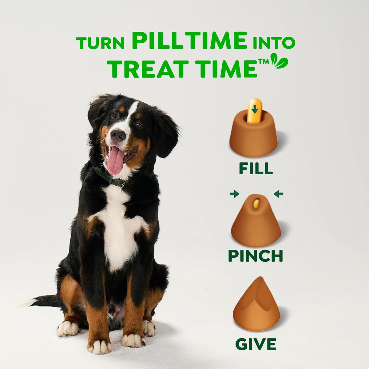 Greenies Pill Pockets for Dogs Large Size. Dog Treat Pouch for Capsule Medication. Variety Pack. 7.9 oz. Pouch (Pack of 2)