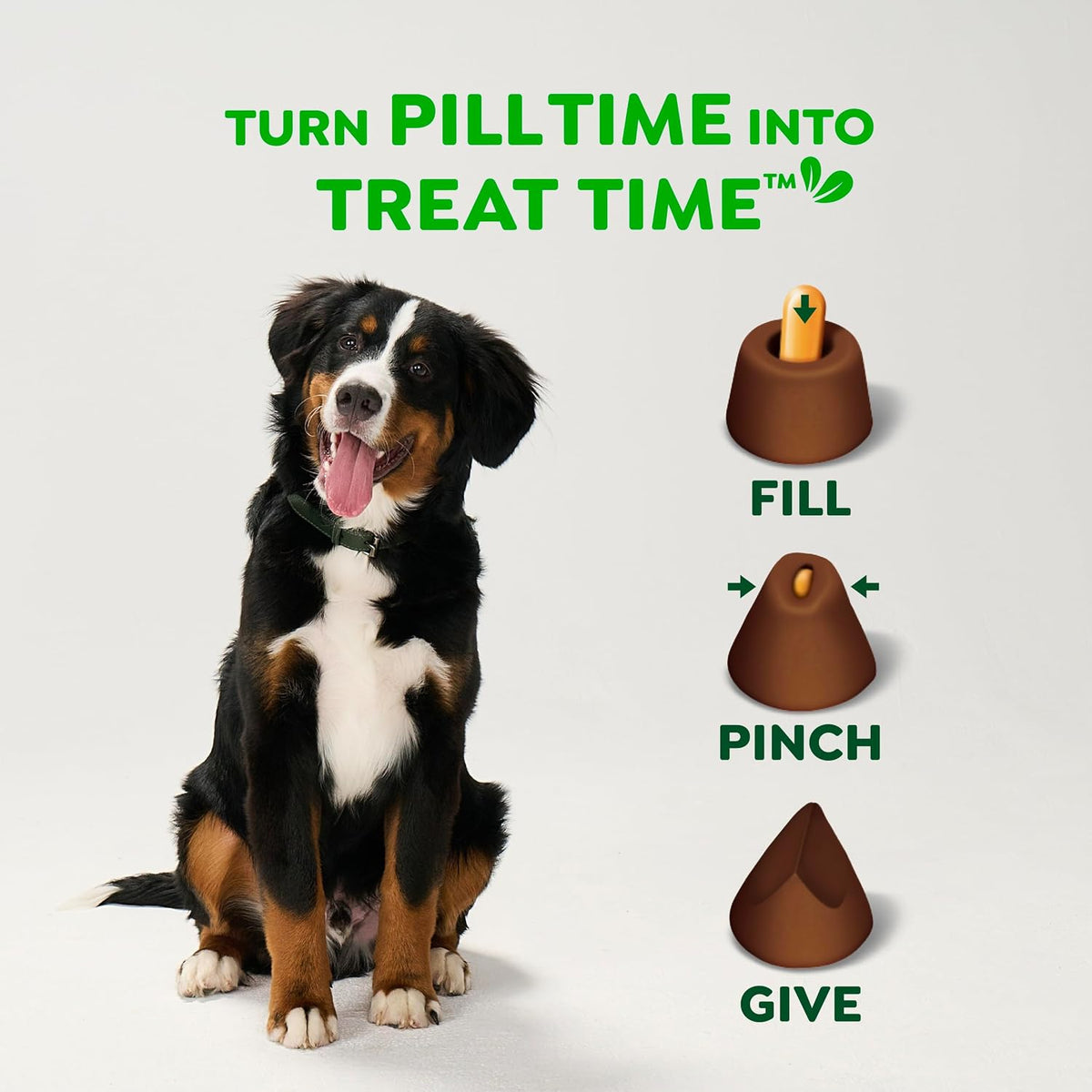Greenies Pill Pockets for Dogs Large Size. Dog Treat Pouch for Capsule Medication. Hickory Smoke Flavor. 7.9 oz. Pouch (Pack of 6)