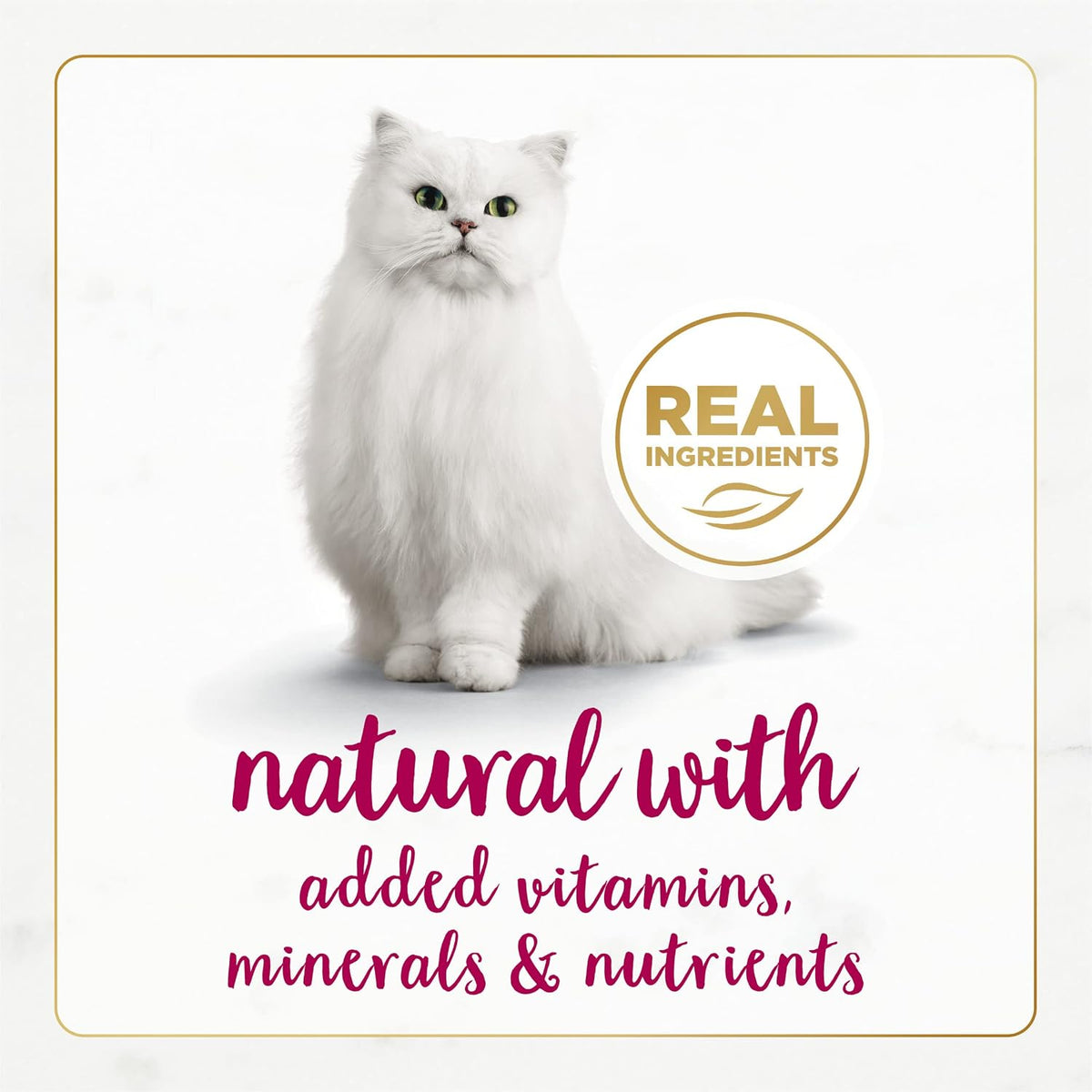 Purina Fancy Feast Gourmet Naturals Chicken and Beef (12 Pack) 3 oz | Crafted with real beef and chicken in gravy for exceptional taste with added vitamins and minerals for adult cats
