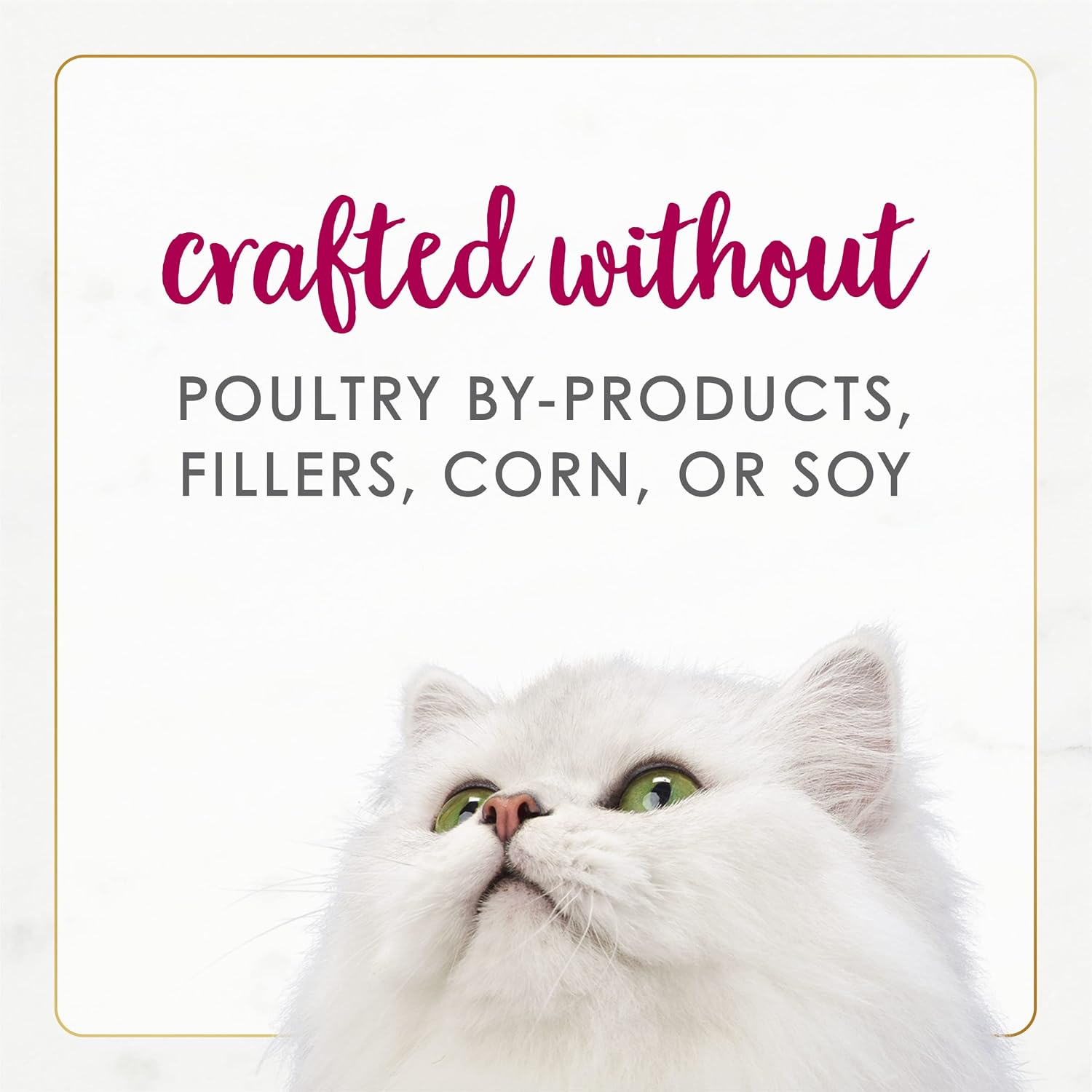 Purina Fancy Feast Gourmet Naturals Chicken and Beef (12 Pack) 3 oz | Crafted with real beef and chicken in gravy for exceptional taste with added vitamins and minerals for adult cats