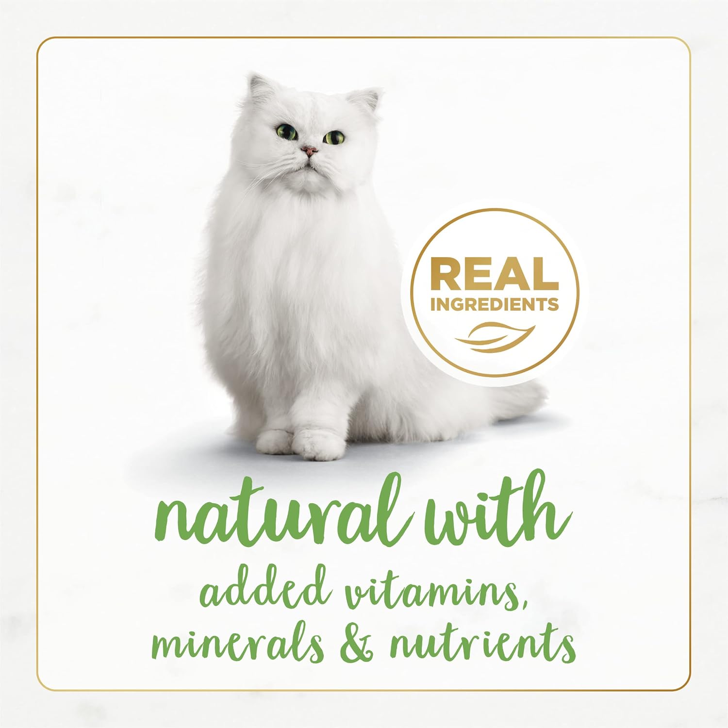 Purina Fancy Feast Gourmet Naturals White Meat Chicken (12 Pack) 3 oz | Crafted with real white meat chicken in gravy for exceptional taste with added vitamins and minerals for adult cats