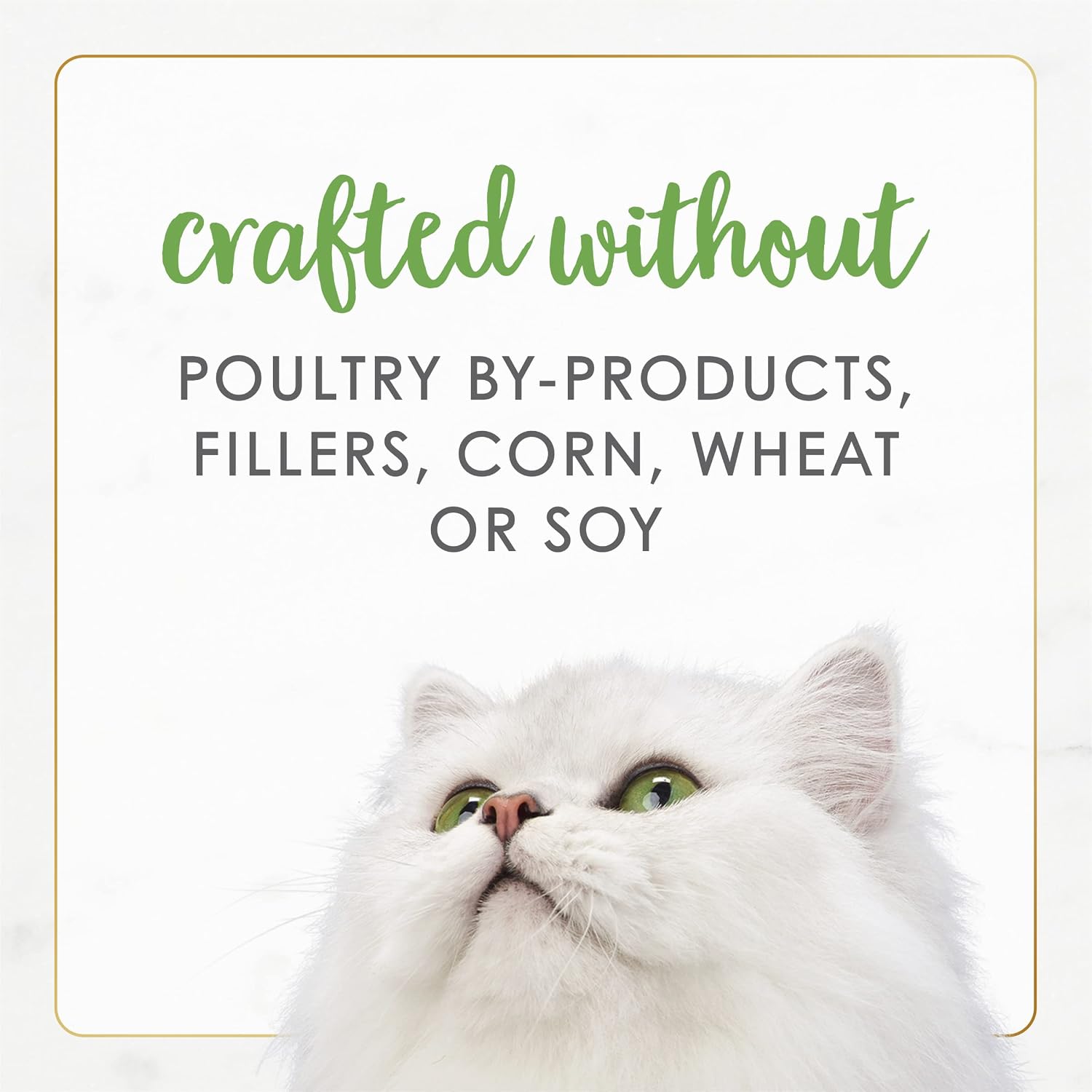 Purina Fancy Feast Gourmet Naturals White Meat Chicken (12 Pack) 3 oz | Crafted with real white meat chicken in gravy for exceptional taste with added vitamins and minerals for adult cats