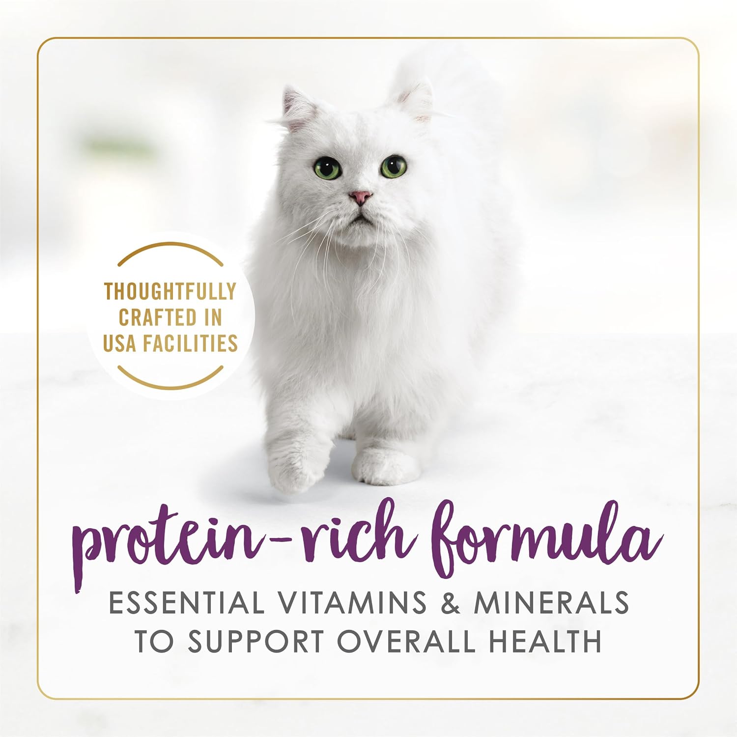 Purina Fancy Feast Senior 7 Year + Beef Feast Wet Cat Food (24) 3 oz Cans | Classic Pate. A smooth recipe specially made for cats age 7 and up. with No Artificial Colors or Preservatives
