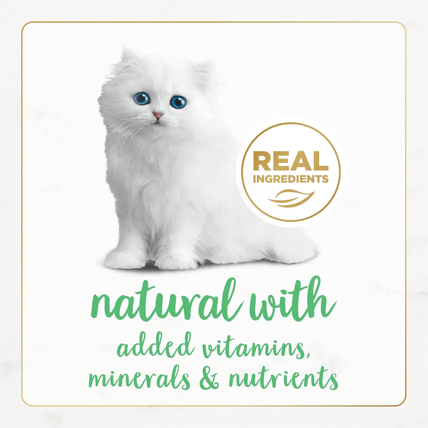 Purina Fancy Feast Grain Free Pate Wet Kitten Food Gourmet Naturals White Meat Chicken Recipe - (Pack of 12) 3 oz. Cans