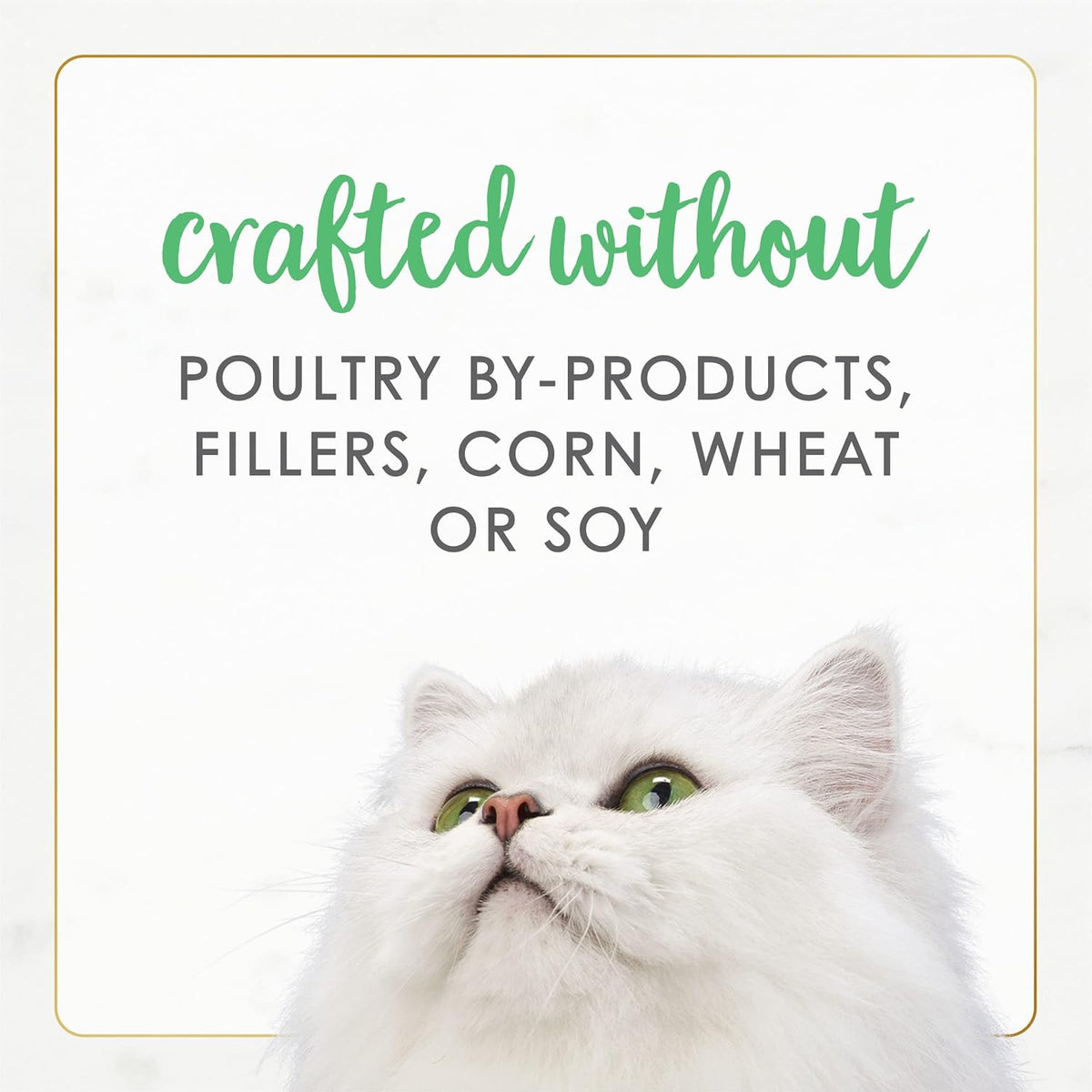 Purina Fancy Feast Grain Free Pate Wet Kitten Food Gourmet Naturals White Meat Chicken Recipe - (Pack of 12) 3 oz. Cans