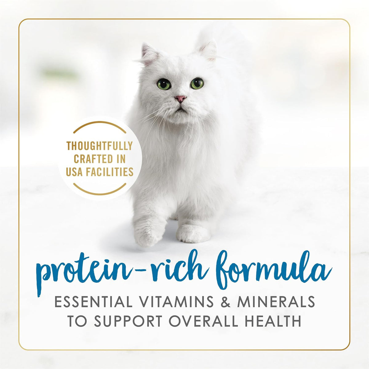 Purina Fancy Feast Chunky Turkey Feast Wet Cat Food - (Pack of 24) 3 oz. Cans