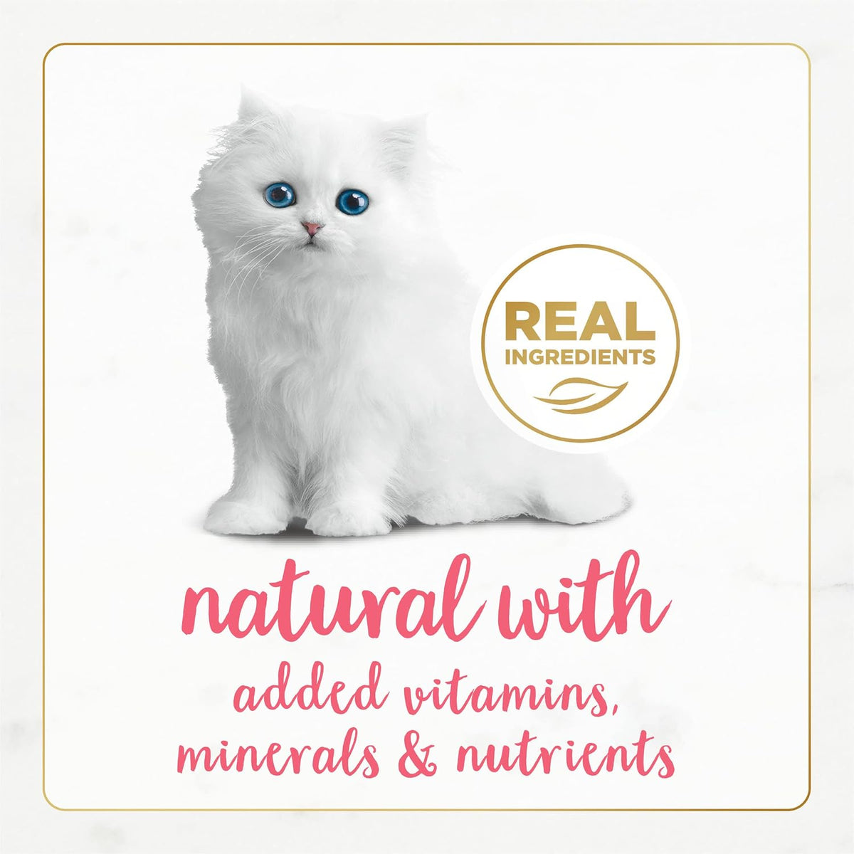 Purina Fancy Feast Grain Free Pate Wet Kitten Food (12 Pack) 3 oz Cans | Delicate mousse pate made with salmon topped with savory gravy for a taste and texture kittens love