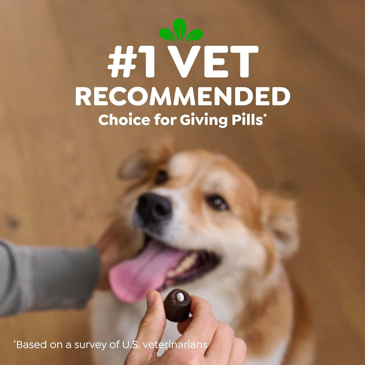Greenies Pill Pockets for Dogs Large Size. Dog Treat Pouch for Capsule Medication. Variety Pack. 7.9 oz. Pouch (Pack of 2)